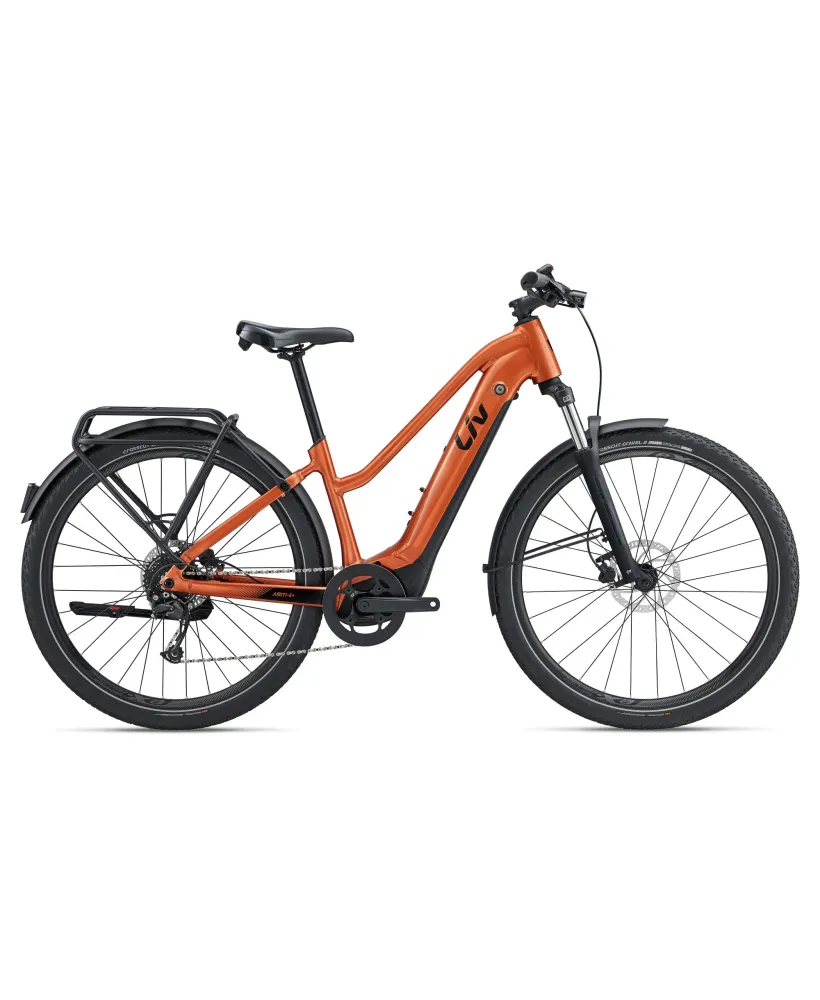VAE Amiti E+ 2 - LIV DESTOCKAGE 2690€