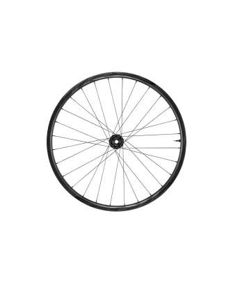 Roue arrière VTT Giant TRX 2 29'' Boost