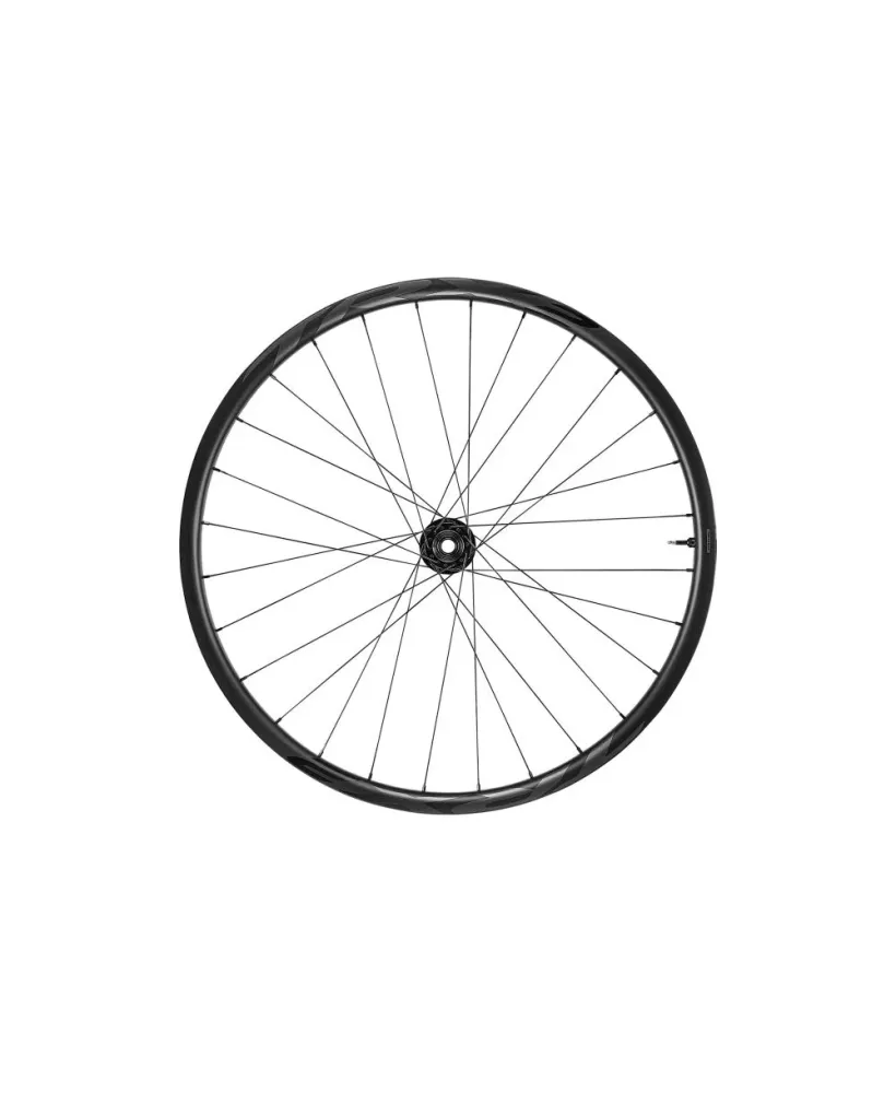 Roue arrière VTT Giant TRX 2 29'' Boost