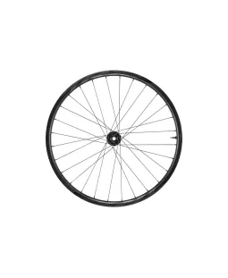 Roue avant VTT Giant TRX 2 29'' Boost